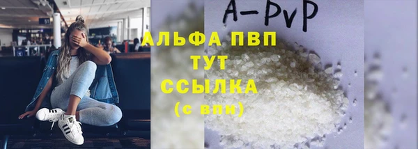 a pvp Белокуриха
