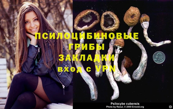 a pvp Белокуриха