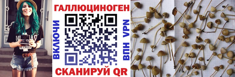 Псилоцибиновые грибы прущие грибы Бузулук